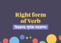 right form of verb for ssc